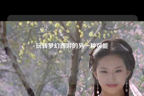 玩轉(zhuǎn)夢幻西游的另一種可能