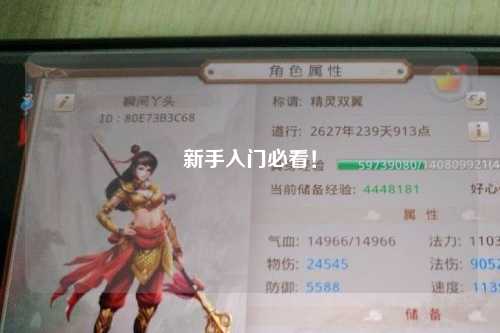 新手入門必看！