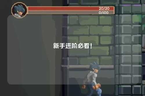 新手進(jìn)階必看！