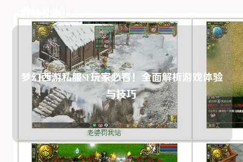 夢幻西游私服SF玩家必看！全面解析游戲體驗與技巧