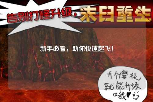新手必看，助你快速起飛！