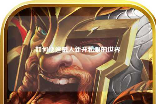 如何快速融入新開(kāi)私服的世界