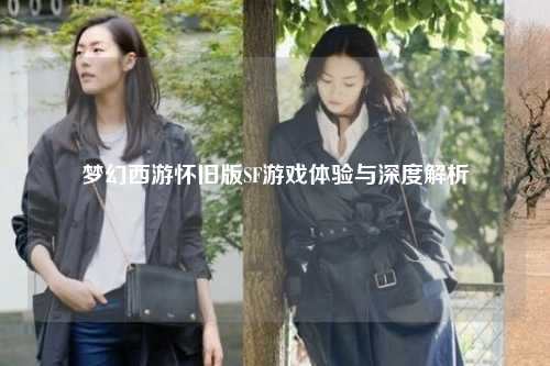 夢幻西游懷舊版SF游戲體驗與深度解析