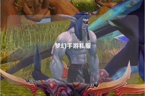夢幻手游私服