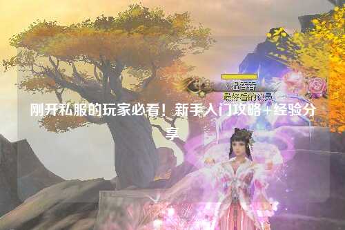 剛開私服的玩家必看！新手入門攻略+經(jīng)驗(yàn)分享
