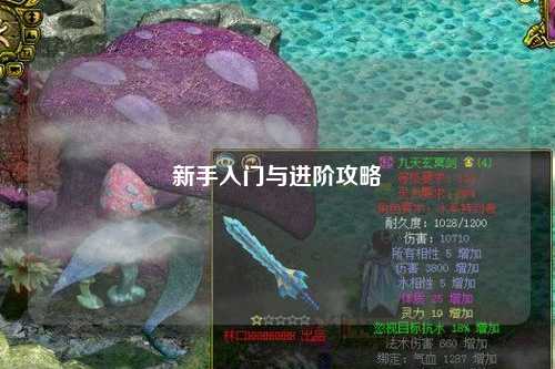 新手入門與進(jìn)階攻略